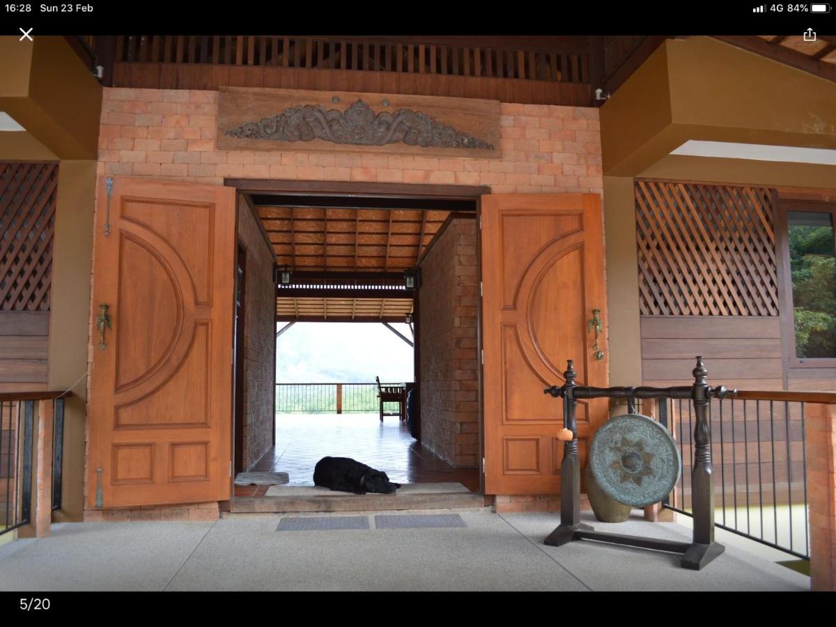 Billion Views Khaosok Homestay Khao Sok National Park 外观 照片