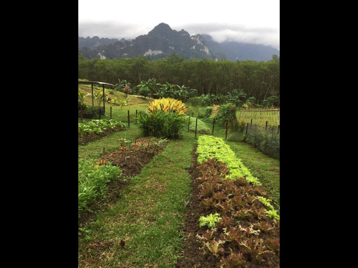 Billion Views Khaosok Homestay Khao Sok National Park 外观 照片