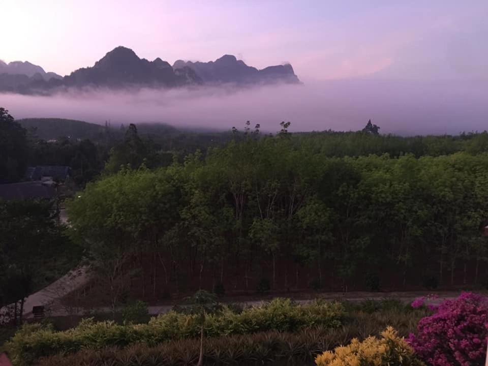 Billion Views Khaosok Homestay Khao Sok National Park 外观 照片