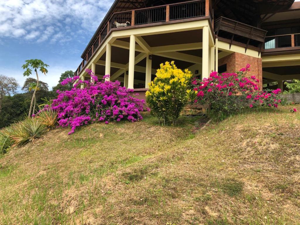 Billion Views Khaosok Homestay Khao Sok National Park 外观 照片