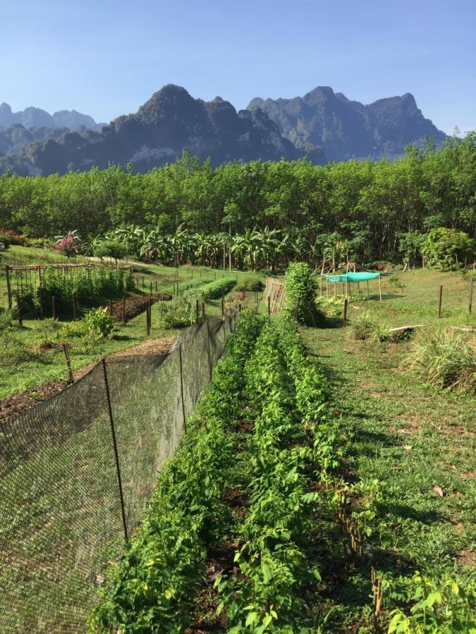Billion Views Khaosok Homestay Khao Sok National Park 外观 照片