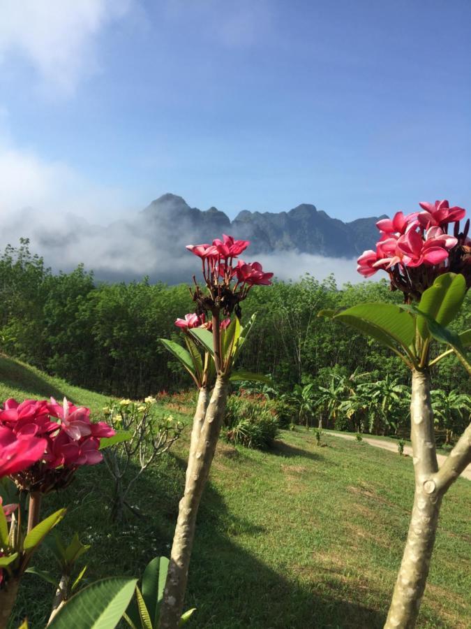 Billion Views Khaosok Homestay Khao Sok National Park 外观 照片