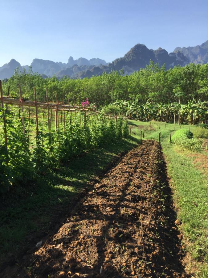 Billion Views Khaosok Homestay Khao Sok National Park 外观 照片