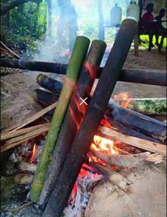 Billion Views Khaosok Homestay Khao Sok National Park 外观 照片