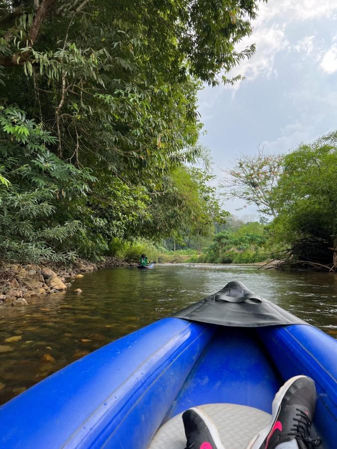 Billion Views Khaosok Homestay Khao Sok National Park 外观 照片